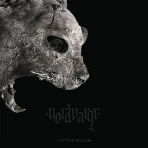 Download track Sweet Death Triumphant (Thorofon Rework) Nordvargr