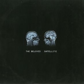 Download track Satellite (Transmission Dub) The Beloved