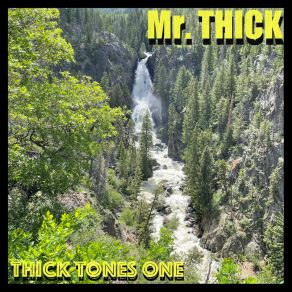 Download track Quality Trips Around The Sun Arrival Mr. THICK