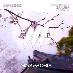 Download track Sakura (Original Mix) Dan Schneider