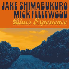 Download track Rockin' In The Free World Mick Fleetwood, Jake Shimabukuro