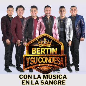 Download track Quisiera Estar Contigo Bertin