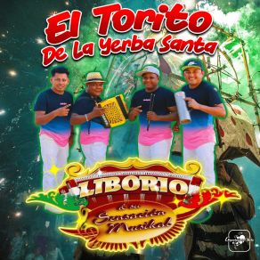 Download track Perdóname Dios Mío Su Sensacion Musical