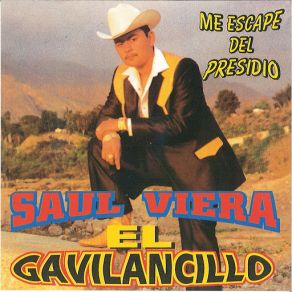 Download track Aurelio Sanchez Quintero Saul Viera 