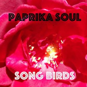 Download track Try My Side Of Love Paprika SoulSarah Newell