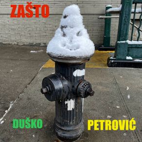 Download track Zašto Dusko Petrovic