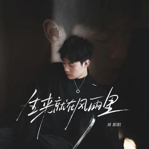 Download track 生来就在风雨里 (我早已看不清我自己) 刘阳阳