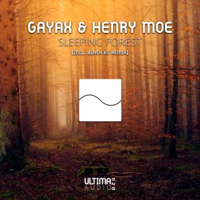 Download track Sleeping Forest (Original Mix) Henry Moe, Gayax