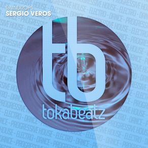 Download track Raindrops (Extended Mix) Sergio Veros