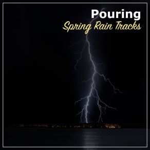 Download track Rain At The Beach The Relaxing Sounds Of Swedish Nature