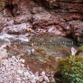 Download track Insomniacs Remedy Sounds Of Nature Relaxation