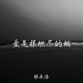 Download track 爱是真诚爱是坦白 张承浩