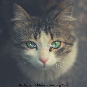 Download track Ambience (Relaxing Cats) Music For Cats Ambience