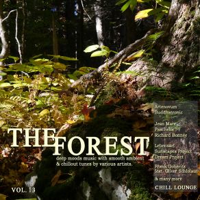 Download track Forest Stream (Lost One Cut) Jean MareRichard Bonnee