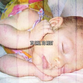 Download track Babies Silence Sleep Sounds Of Nature