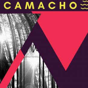 Download track Bye Camacho And Chediak Camacho