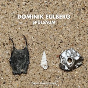 Download track Hühnergott (Original Mix) Dominik Eulberg