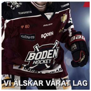 Download track VI Älskar Vårat Lag Björn Gullqvist