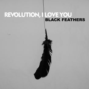 Download track I Don't Want You To Love Me The RevolutionLapses