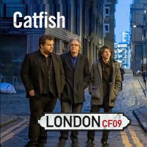 Download track Days Long Gone Catfish