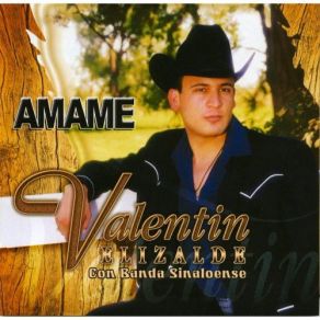 Download track Voy A Vengarme De Ti Valentin Elizalde