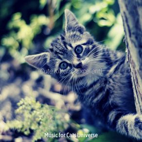 Download track Delightful (Kittens) Music For Cats Universe