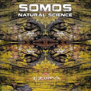 Download track Natural Science Somos