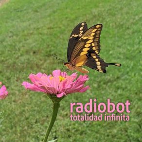 Download track Macrovision Radiobot