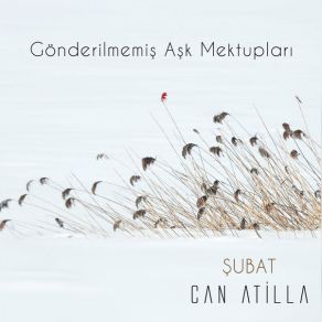 Download track Mesnevi' Can Atilla