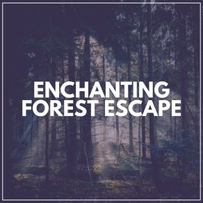 Download track Light That Paints My Skin The Forest Escape