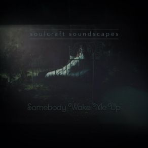 Download track Somebody Wake Me Up Soulcraft SoundscapesKaytlyn Cate, The David Samuel Project