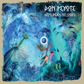 Download track Water Temple Don Peyote