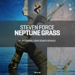 Download track Neptune Grass (Denis Sender Remix) Steven Force