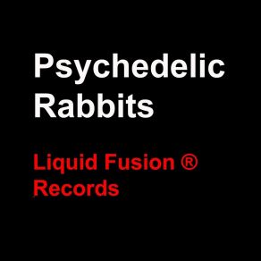 Download track Heading Into Time 01 Psychedelic Rabbits