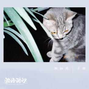 Download track 講故事的貓 Junny Chung