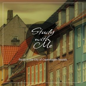 Download track Focus In The City Of Copenhagen Sounds, Pt. 17 Bryan Maxwell