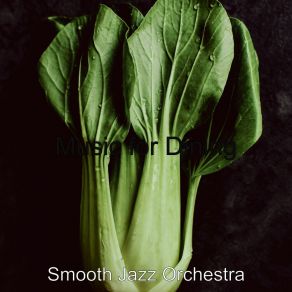 Download track Background For Preparing Dinner Smooth Jazz Orchestra