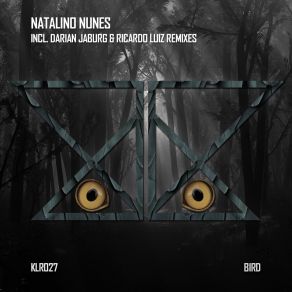 Download track Bird (Ricardo Luiz Remix) Natalino NunesLuiz Ricardo