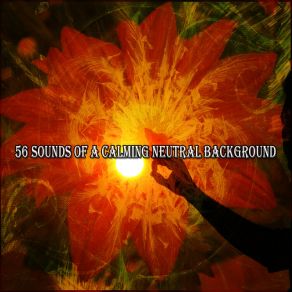 Download track Enlightening Spirit Massage Therapy Music