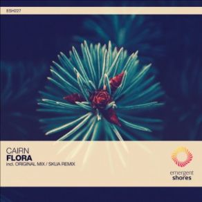 Download track Flora (Skua Remix) Cairn