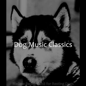 Download track Piano Jazz Soundtrack For Doggy Training Dog Music Classics