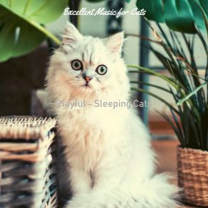 Download track Serene (Cats) Excellent Music For CatsThe Cats