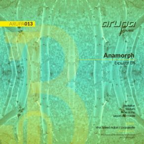 Download track Radum (Original Mix) [Arupa Music] Anamorph