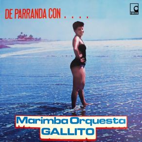 Download track Las Sandalias Del Hermano Pedro MARIMBA ORQUESTA GALLITO