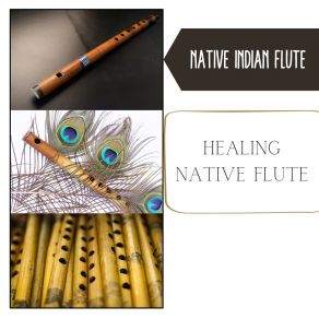 Download track Southwestern Music Native Indian Flute