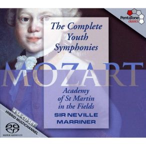 Download track Symphony No. 19 In E Flat Major, K. 132: Andante The Academy Of St. Martin In The Fields