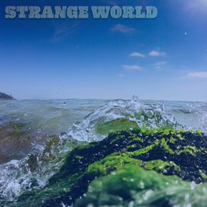 Download track Strange World (Dub Extended) Terry Wise