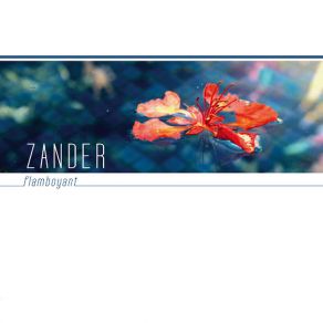 Download track Avesso Zander