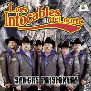 Download track Los Compadres Los Intocables Del Norte