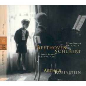 Download track Franz Schubert - Sonata For Piano No. 21 In B - Flat, D 960 - I. Molto Moderato Artur Rubinstein